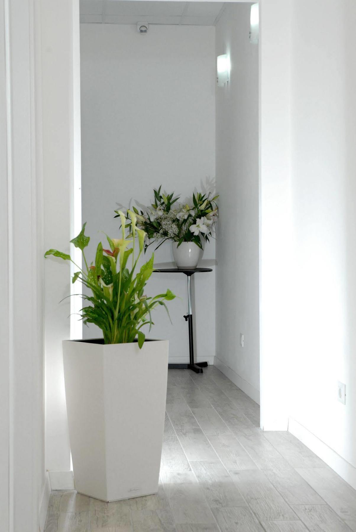 Gardenia Suite Roma Dış mekan fotoğraf