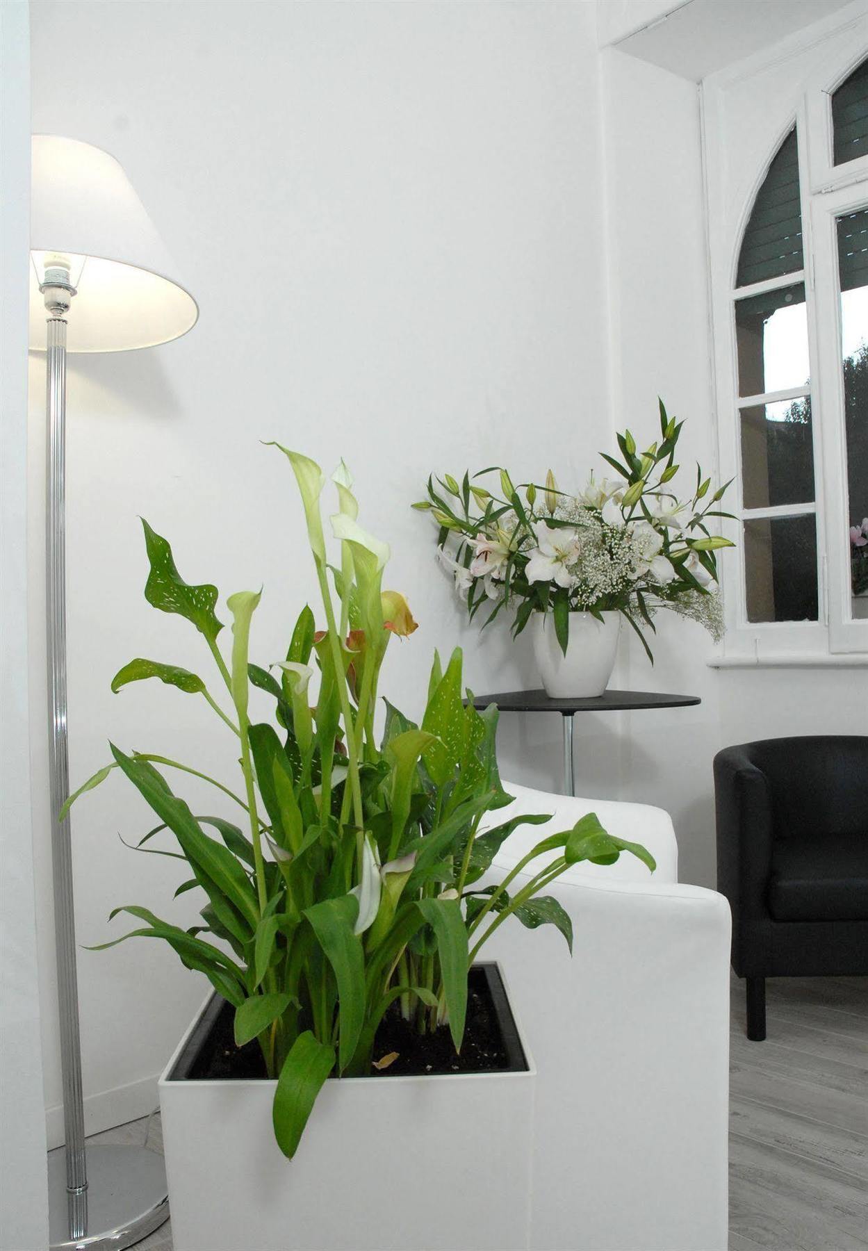 Gardenia Suite Roma Dış mekan fotoğraf